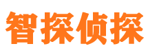 民丰智探私家侦探公司